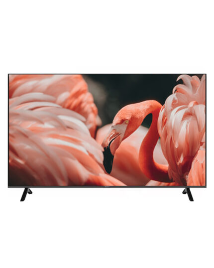 Sunny 140 Ekran 4K Ultra HD webOS Smart Televizyon
